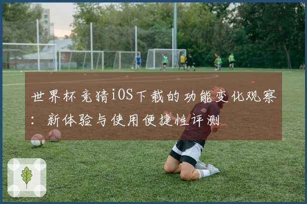 世界杯竞猜iOS下载的功能变化观察：新体验与使用便捷性评测