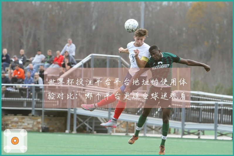 世界杯投注平台平台地址的使用体验对比：哪个平台更适合球迷观看比赛？