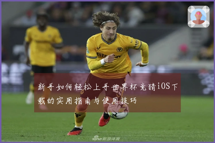 新手如何轻松上手世界杯竞猜iOS下载的实用指南与使用技巧