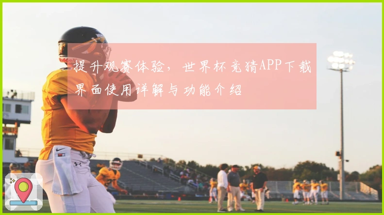 提升观赛体验，世界杯竞猜APP下载界面使用详解与功能介绍