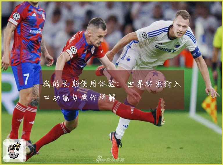 我的长期使用体验：世界杯竞猜入口功能与操作详解