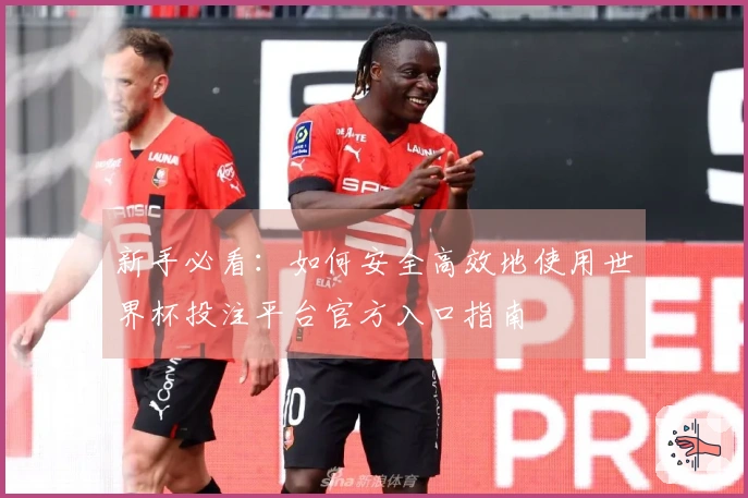 新手必看：如何安全高效地使用世界杯投注平台官方入口指南