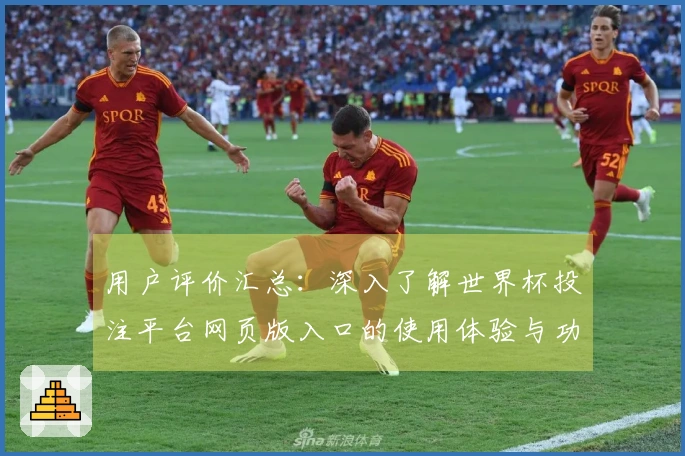 用户评价汇总：深入了解世界杯投注平台网页版入口的使用体验与功能特点