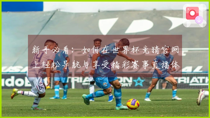 新手必看：如何在世界杯竞猜官网上轻松导航与享受精彩赛事直播体验